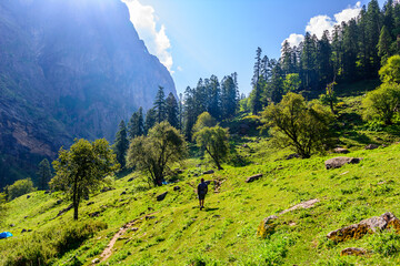 Man hiking on beautiful Pin parvati pass trail in Himalayas mountains with backpack. Travel...