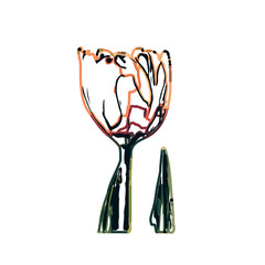 Color sketch of a tulip flower with transparent background