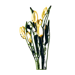 Color sketch of a tulip flower with transparent background