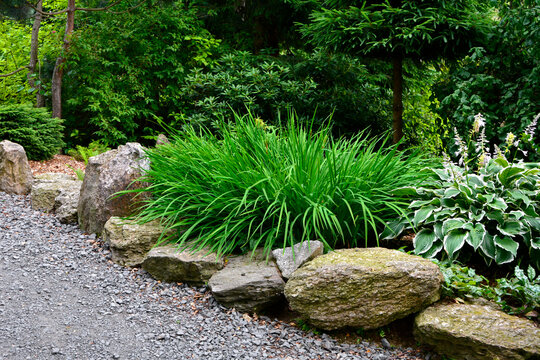 zielona kępa liliowców przy ścieżce w ogrodzie (Hemerocallis), kamienie w ogrodzie, ogród japoński, ogrodowa ścieżka, żwirowa alejka, japanese garden, Zen garden, garden path, designer garden © kateej