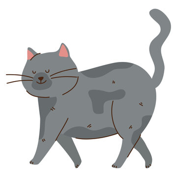 gray cat walking mascot