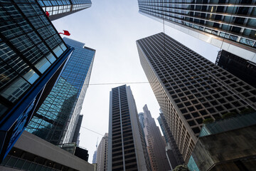 Naklejka premium hong kong city skyline