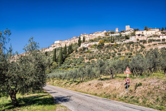 trevi, italien - olivenhain und oberstadt