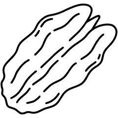 Pecan nut simple linear cartoon icon in doodle style