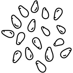 Pine nuts simple linear cartoon icon in doodle style