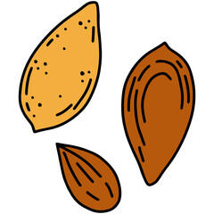 Almond nut in a shell simple linear cartoon icon in doodle style