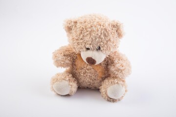 Bear PLush Animals Assorted Props for baby photography
