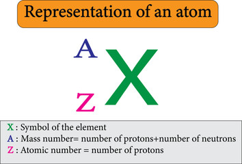 representation of atom with mass number and  atomic number and element symbol.vector image