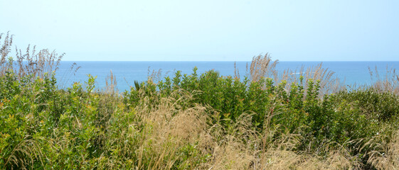 wild beaches with a strong Mediterranean charm at the foot of the archaeological park of Selinunte, full of services for tourists