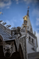 Fototapeta premium Gargoyle is watching you