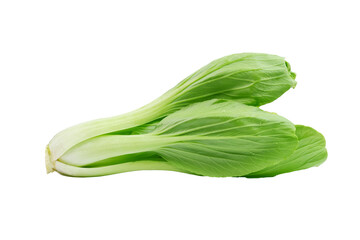 Fresh bok choy vegetable (Chinese cabbage) isolated on white background. Macro shoot