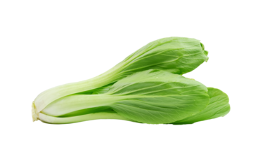 Fresh bok choy vegetable (Chinese cabbage) isolated on white background. Macro shoot