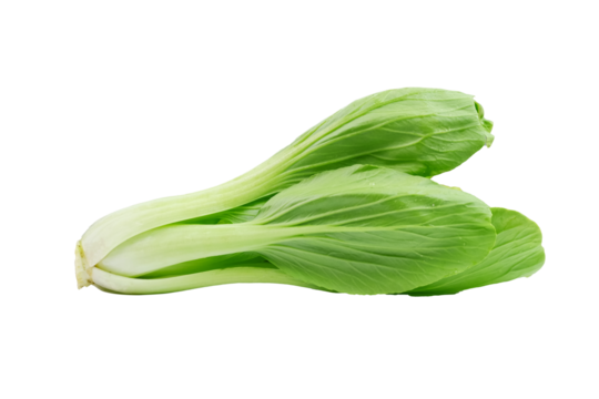 Fresh bok choy vegetable (Chinese cabbage) isolated on white background. Macro shoot