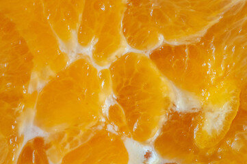 photo of an orange and different angles. and macro photography