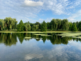 Fototapeta na wymiar Closeup of trees and sky reflected in the calm water of a lake