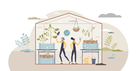Horticulture and gardening in greenhouse to grow plants tiny person concept, transparent background. Planting, harvesting or seedling vegetable or leaf salad sprouts process illustration.