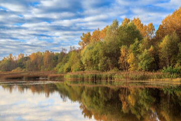 Autumn forest and lake