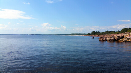View from amazon river, Brazil