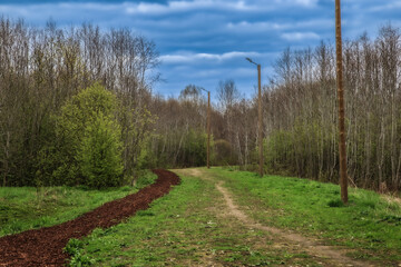 Spring forest