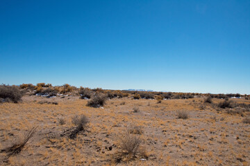 Colorado Desert Landscape