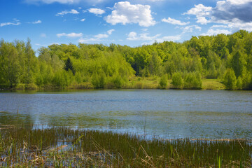 scenery with countryside lake. forest reflecting in the water surface. sunny weather in spring