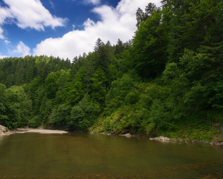 nature landscape with shallow river. trees on the shore