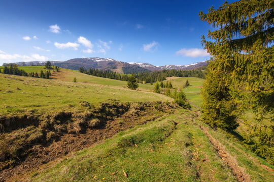sunny rural mountain landscape with fields and clouds. majestic morning countryside in spring