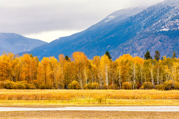 fall foliage and pond with mountains in background, Flathead Valley, Montana