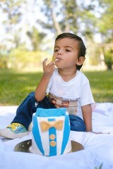 Portrait of a Young boy celebrating birthday in Guwahati,Assam