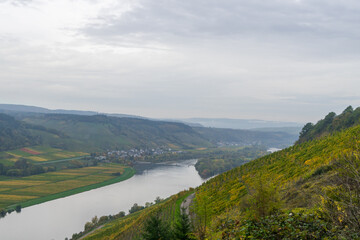 Fototapeta na wymiar Landscape view over the river Moselle