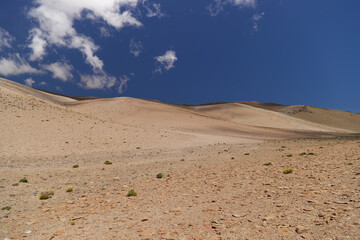 The spectacular colors of the Puna Argentina