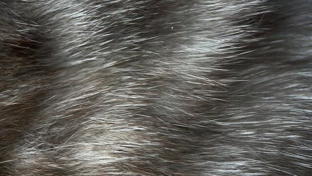Macro Pieces Wool Breathing Cat Background