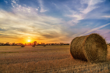 Sunset over a field filled with bales