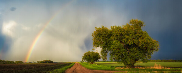 A rainbow over a quiet country road after a storm