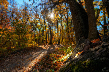 A perfect fall day for a walk