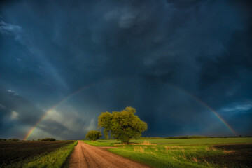 Naklejka na ściany i meble Rainbow over a quiet country road