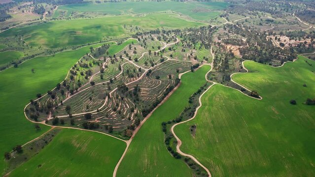 Bitronot Ruhama reserve, Israel, spring blossom at the Negev Desert, 4k aerial drone view