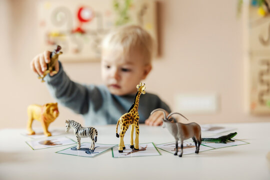 A little boy is learning animals by playing with montessori toys in kindergarten.