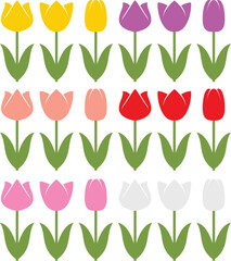 vector set of colorful tulip