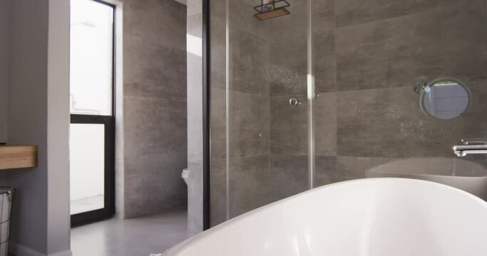 General view of luxury bathroom with shower and bathtub
