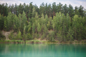 Forest and lake. Chalk quarry. Beautiful nature