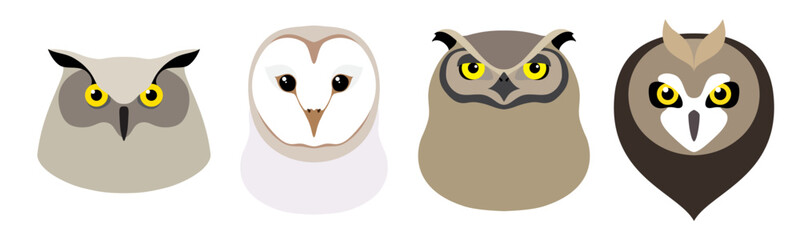 Owl birds are white and gray with yellow eyes on a white background. Avatar, icon, logo. Set of isolated vector illustrations
