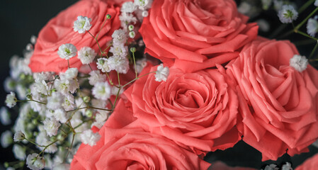 Delicate pastel pink bunch of roses decorated with small white flowers on black background as a romantic backdrop