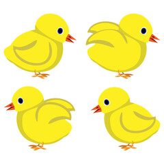 Cartoon little chickens set. Cute charecters, vector illustration