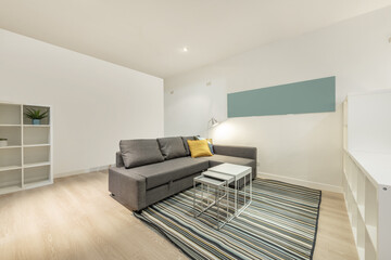Apartment with empty white wooden divider shelves, gray fabric sofa with chaise longue and bed below and jarapa style rug