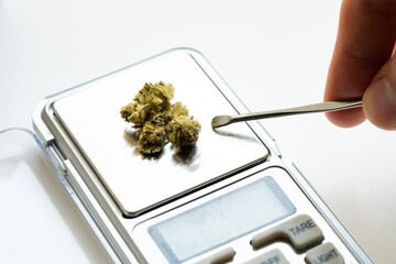 Cannabis, marijuana on an electric scale, preparing buds of medical marijuana, THC, CBD, soft drugs...
