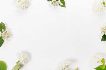 Fototapeten White hydrangea flowers flower wedding romantic background. Flat lay. © Olga Ionina