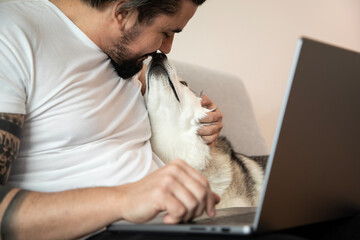 Handsome young man working on laptop homeoffice with his Husky dog