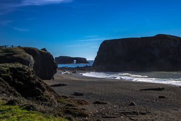Bodega Bay Romp