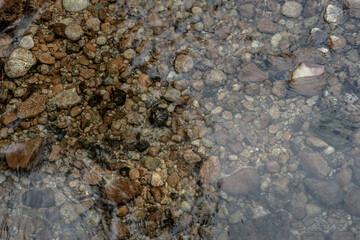 Brown Pebbles Underwater of the Shallow Tuolumne River